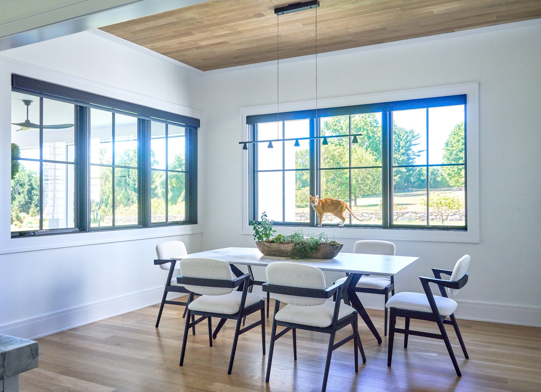 Dining room with a wood ceiling and black steel windows